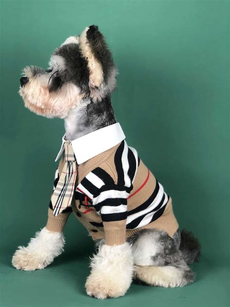 burberry pet clothes